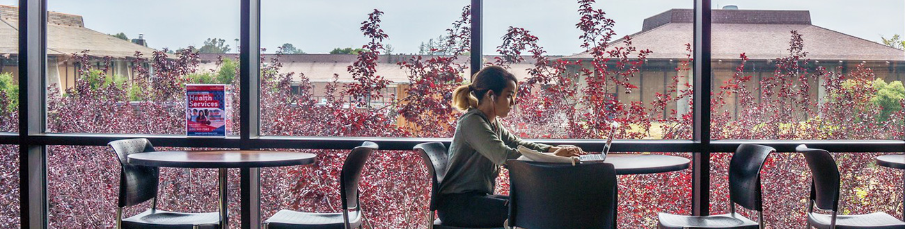 Student studying in campus center