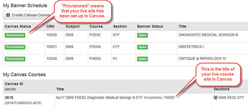 Under My Banner Schedule, provisioned means that your live site has been set up in Canvas. Under My Canvas Courses the title of your course will be listed under Title.