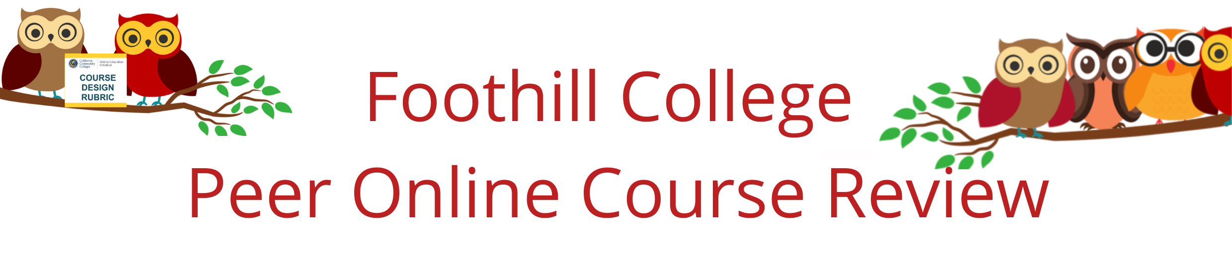 Foothill College Peer Online Course Review