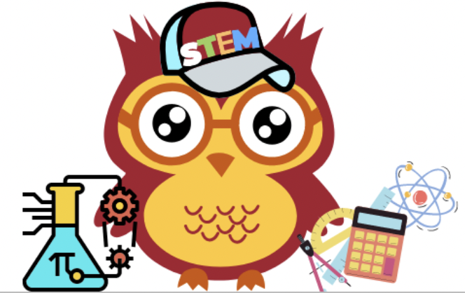 stem owl